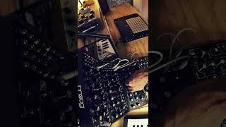 Acid Bleeps shorts moog modularsynth mother32 moogdfam moogerfooger eurorack [upl. by Connie137]