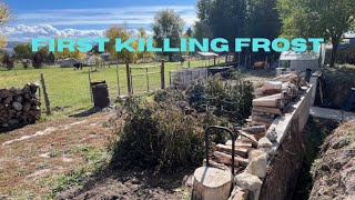 First killing frost at the Homestead Vlog 352 [upl. by Hampton36]