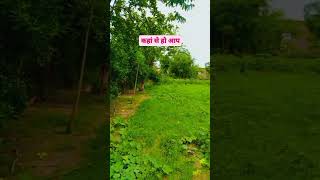 Kaha se ho aap farming motivation nature shortvideo agriculture village villagelife [upl. by Nylsej]