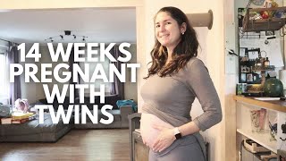 14 WEEKS PREGNANT WITH TWINS  DETAILED ULTRASOUND  SYMPTOMS UPDATE [upl. by Coplin]