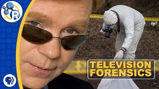 TV Forensics What Do CSIs Actually Do [upl. by Davey414]