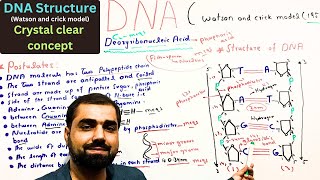 DNA  Structure of DNA in one shot  Watson and crick model  class 11  in Urdu Hindi [upl. by Farika774]