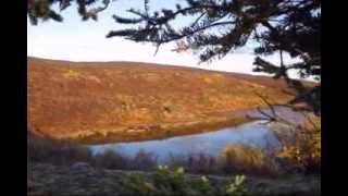 Caribou Hunt Highlights 2010 [upl. by Modeste174]