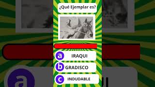 Trivias Hipismo Venezolano parte GRADISCO [upl. by Altman]