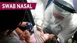 SWAB NASAL TESTE DO COTONETE PARA COVID RTPCR  COMO É FEITO Bebês [upl. by Aenel]