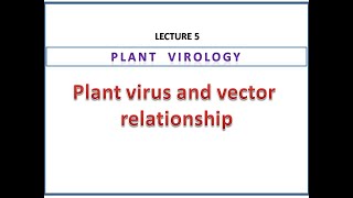 Plant virus and vector relationship  Nonpersistent semipersistent and persistent transmission [upl. by Katherina]