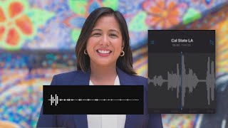 LA City Council candidate caught saying F the police in leaked audio [upl. by Siddra]