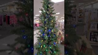 Watch  Christmas Trees  Tall amp Small  For YouTube Holiday Shorts Entertainment [upl. by Denison]