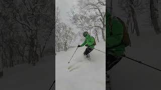 本州からお越しのテレマークスキーヤー telemarkski ski スキー [upl. by Kaiser]