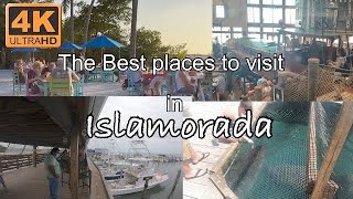 The Florida Keys at Islamorada  Best Places floridakeys floridakeyslife islamorada [upl. by Hgielyak96]