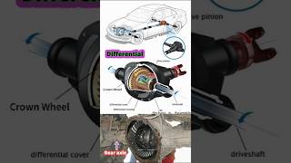 How Differentials Work and Why You Want One 😜 shorts IC [upl. by Adao811]