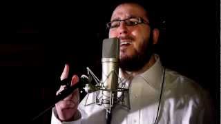 Yoely Greenfeld Album 2  Tzakeinee  Preview [upl. by Melosa]