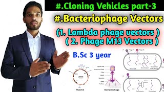 Bacteriophage Vector Lambda phage vectors  Phage M 13 Vectors  BSc 3rd year Zoology 2nd paper [upl. by Rramahs]