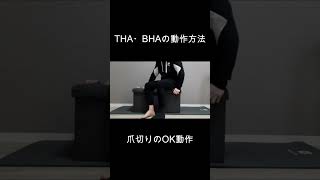 THA（人工股関節置換術）、BHA（人工骨頭置換術）の動作方法（爪切りのOK動作2） [upl. by Aivlys7]