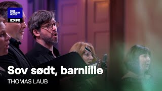 Sov sødt barnlille  Danish National Vocal Ensemble Live [upl. by Allertse]