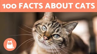 100 FACTS About CATS That May SURPRISE You 🐱🐾 [upl. by Negroj]