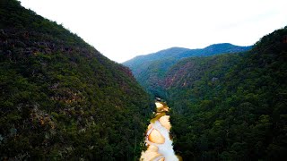 INTO THE WOLLEMI  The pure wilderness of NSW  Sunshine Summits [upl. by Greenwald569]