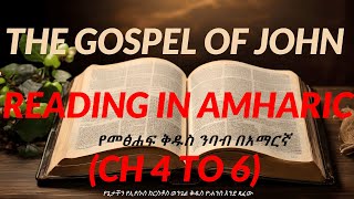 Amharic Bible Reading  የዮሐንስ ወንጌል ምዕራፍ 46 Gospel of John 46  Peaceful Bible Narration EVER [upl. by Suiram]