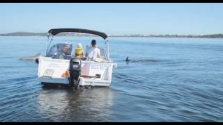 Be a boat owner for a day in Mandurah only 1 hour from Perth [upl. by Kcirtapnaes]