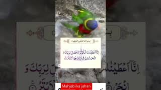 surahkauser ka wazifayoutube duawazifaquran islam islamic shorts [upl. by Jelks]