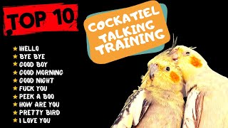 Top 10 Cockatiel Talking Traning Teach Your Cockatiel to Talk Cockatiel Talking Practice [upl. by Gemperle975]