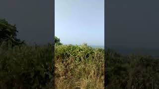 Way to the Velas Beach P02 🏄🏼🏍️ ride adventure travel journey motorcycle shorts [upl. by Orr]