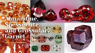 Reveal the true nature of Almandine Spessartite amp Grossular Garnet Gems of Radiance amp Elegance [upl. by Roice652]