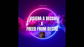 GALA SFERA EBBASTA  VISIERA A BECCO X FREED FROM DESIRE🤯🔥 MASHUP BY DARIO LUV [upl. by Ytsirhk942]