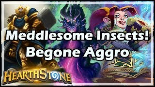 Hearthstone Meddlesome Insects Begone Aggro [upl. by Ephram]