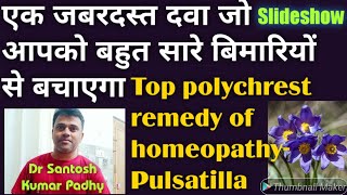 PulsatillaThe best polychrest remedy of homeopathy for many acute and chronic diseases [upl. by Any]