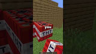 You CANNOT be GRIEFED in this MINECRAFT SERVER minecraft minecraftserver [upl. by Nnyleahs]