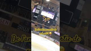 Ajoie réveiller vous bordel  😢😢💛🖤🐉 hockey hcajoie [upl. by Nyhagen]