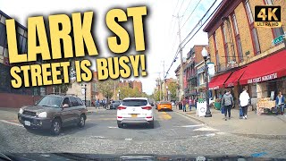 Driving Lark St in Albany NY  Work And Travel 2022 [upl. by Blainey746]