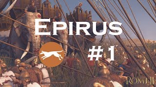 Lets Play Total War Rome 2  Epirus  Episode 1 [upl. by Dur]