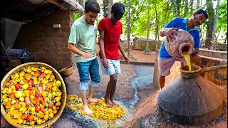 Worlds Famous Traditional Goa Kaju Feni Making Process l Goa Street Food [upl. by Alehtse]