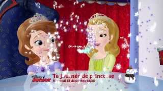 Ta journée de Princesse  Mercredi 18 décembre dès 8h30 sur Disney Junior [upl. by Toiboid871]