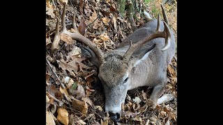 DANDY NH BUCK ON FILM Muzzleloader Opening Weekend Success [upl. by Artenra19]