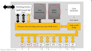 Microcontroller Architecture [upl. by Ardeid]