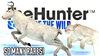 A FESTIVE REINDEER HUNT LEADS TO TAKING ALL RARE REINDEER FUR VARIANTS AND TWO RARE ALBINO LYNX [upl. by Goer267]