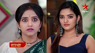 NagaPanchami  Promo  29th Nov 2023  Star Maa Serials  Mon Sat at 8 pm  Star Maa [upl. by Eenor]