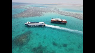 Panorama Submarine 2024  Hurghada  Red Sea  Egypt [upl. by Obe477]