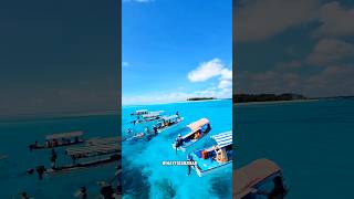 Snorkeling vibes at Mnemba Island in Zanzibar travel africanbeach youtubeshorts africanholiday [upl. by Drahsir755]