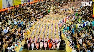 阿波踊り2016 総集編 Awaodori Festival in Tokushima Japan [upl. by Elora]