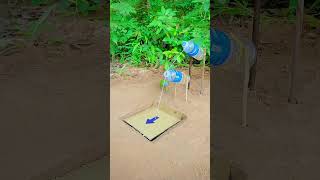 Amazing Parrot bird trap Underground with Cardboard Box birdtrap [upl. by Venuti]