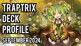 2ND PLACE Traptrix Deck Profile SEPT 2024 [upl. by Tammie]