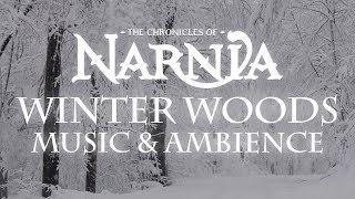 Chronicles of Narnia  Winter Woods Music amp Ambience  Relaxing Music with Sounds of Winter [upl. by Eastlake]