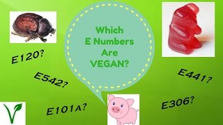 Which E Numbers Are VEGAN [upl. by Nnylyt]