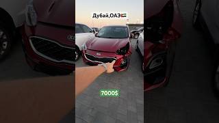 ‼️KIA SPORTAGE ПО СМЕШНОЙ ЦЕНЕ [upl. by Enaud]