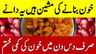 Iron Rich Foods  Khoon ki kami ka ilaj in Urdu  Khoon ki kami ko kaise pura karen  Iron Food List [upl. by Ahtamat]