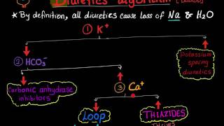 Diuretics algorithm blood electrolytes [upl. by Reagen]